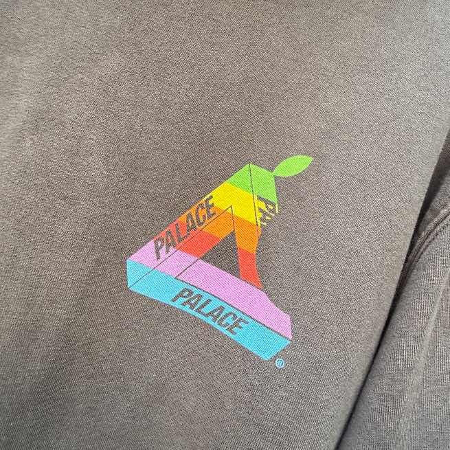 Palace Jobsworth Tri-ferg Hoodie (M)